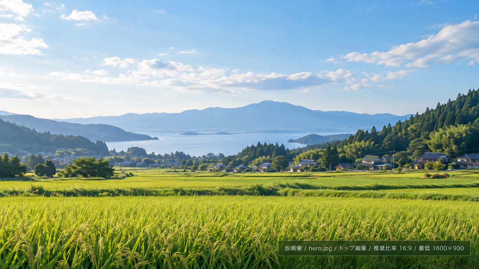 田んぼと湖の風景（仮画像）